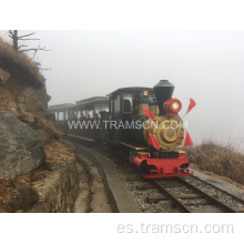 Trenes de turismo diesel con dos carros.